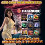 Alasan Slot Habanero Menjadi Populer Era Modern