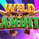 AKSI BANDIT WILD BANDITO DALAM SLOT